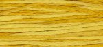 (image for) Squash